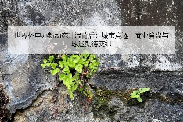 shi-jie-bei-shen-ban-xin-dong-tai-sheng-wen-bei-hou-cheng-shi-jing-zhu-shang-ye-suan-pan-yu-qiu-mi-qi-dai-jiao-zhi-2-658.jpg